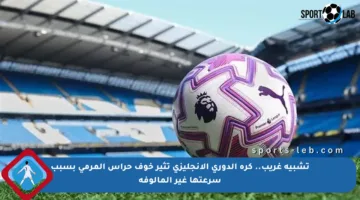 تشبيه غريب.. كرة الدوري الإنجليزي تثير خوف حراس المرمى بسبب سرعتها غير المألوفة